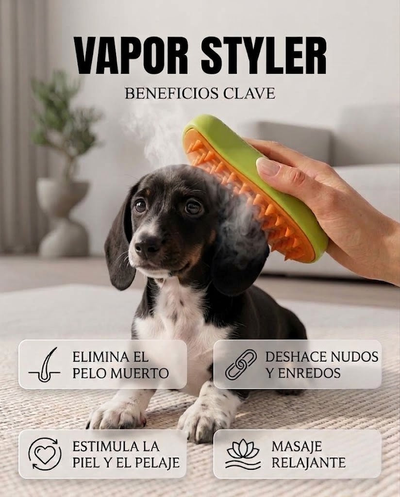 Vapor Styler - Cepillo Vaporizador